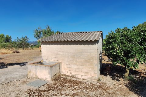 Finca i Ginestar, Tarragona, Ginestar - € 7 000 | Ref: CC846 - foto 3